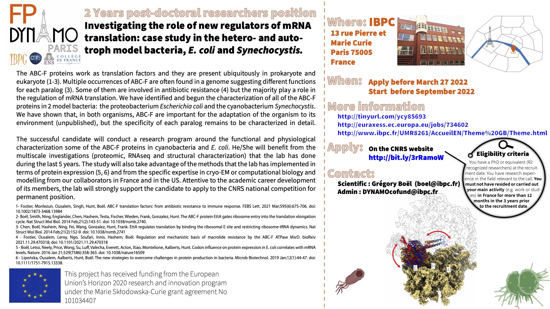 flyer postdoc Dynamo Boel lab